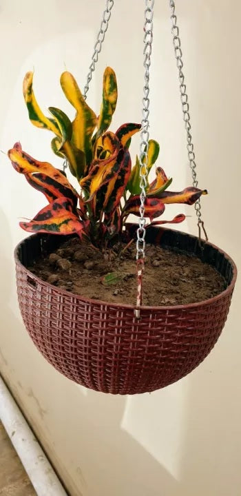Pack of 5 Go Hooked Multicolor Round Rattan Woven Plastic Flower Hanging Planter/Beautiful Round Gamla Pot/Flower Hanging Pot for Garden Balcony (Multicolored)